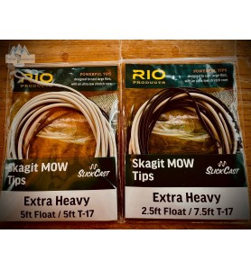 Rio Long Head Spey 9/10F 765gr In Touch - LHS | Fly fishing equipment